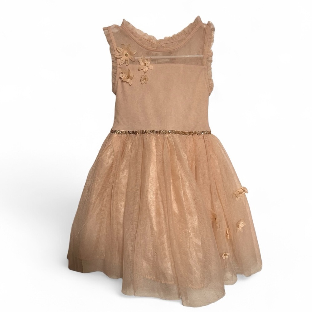 Zunie girls size 6 pink tulle dress